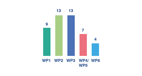 Bar chart showing initiated projects: WP1: 9; WP2: 13: WP3: 13; WP4: 7; WP5: 5; WP6: 3