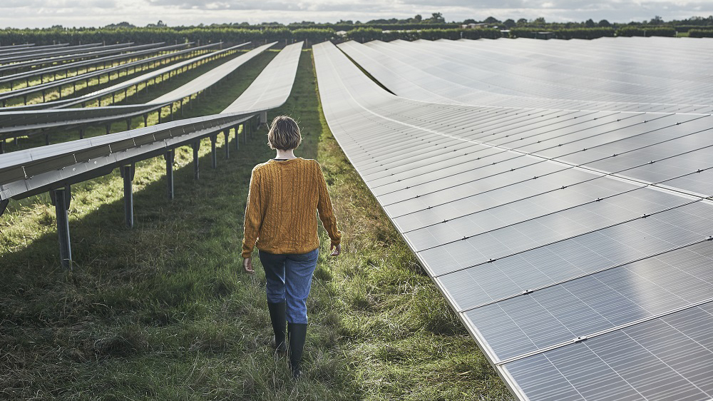 Person walking among long rows of solar panels